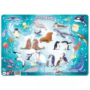 Пазл з рамкою Антарктида Dodo Toys