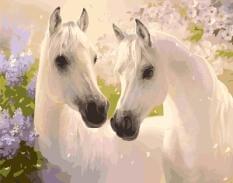 Картина за номерами - Білі коні Ідейка (КНО2433)