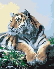 Картина за номерами - Тигр Ідейка (КНО2460)