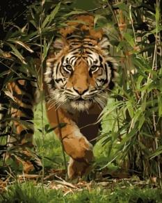 Картина за номерами - Тигр на полюванні Ідейка (КНО4043)