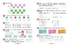 Зошит-практикум Магiстр математики 2 клас - Алліна - Торсінг 