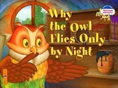 Why the owl flies only by night. Почему сова летает только ночью